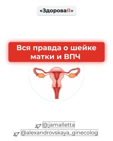 [jamalletta] Пособие «Вся правда о шейке матки и В_0.jpg